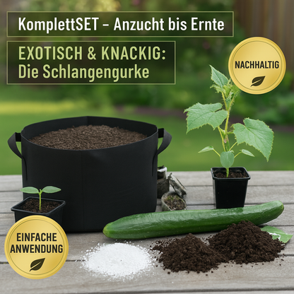 KomplettSET Schlangengurke – Von der Anzucht bis zur Ernte