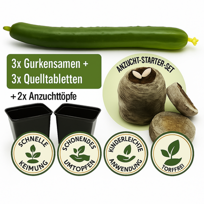 KomplettSET Schlangengurke – Von der Anzucht bis zur Ernte
