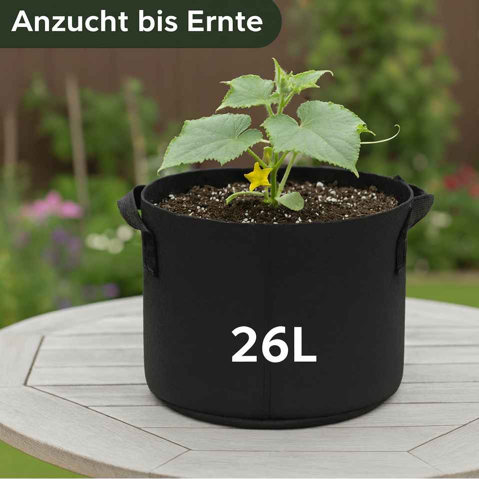 KomplettSET Schlangengurke – Von der Anzucht bis zur Ernte