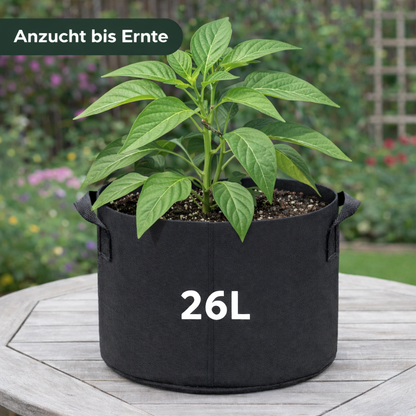 KomplettSET Paprika California Wonder - Von der Anzucht bis zur Ernte