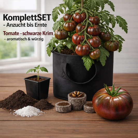 KomplettSET Tomate "schwarze Krim" - Von der Anzucht bis zur Ernte