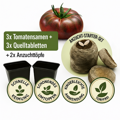 KomplettSET Tomate "schwarze Krim" - Von der Anzucht bis zur Ernte