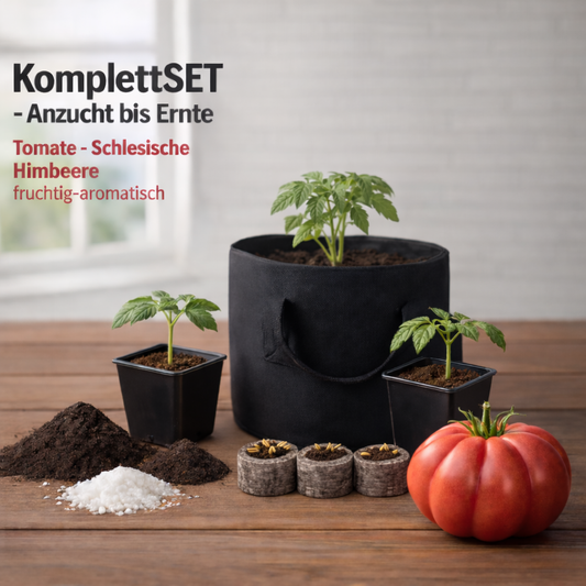 KomplettSET Tomate "Schlesische Himbeere" - Von der Anzucht bis zur Ernte