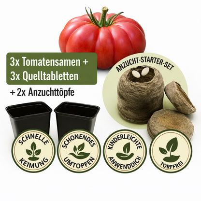 KomplettSET Tomate "Schlesische Himbeere" - Von der Anzucht bis zur Ernte
