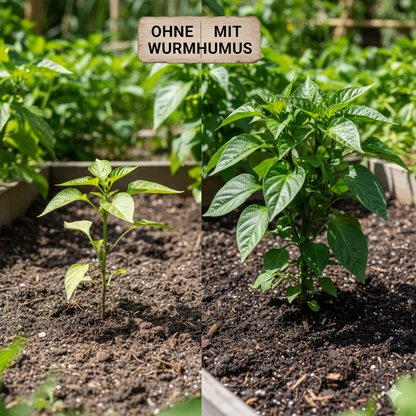 100 % Reiner Wurmhumus – organischer Naturdünger, handgesiebt
