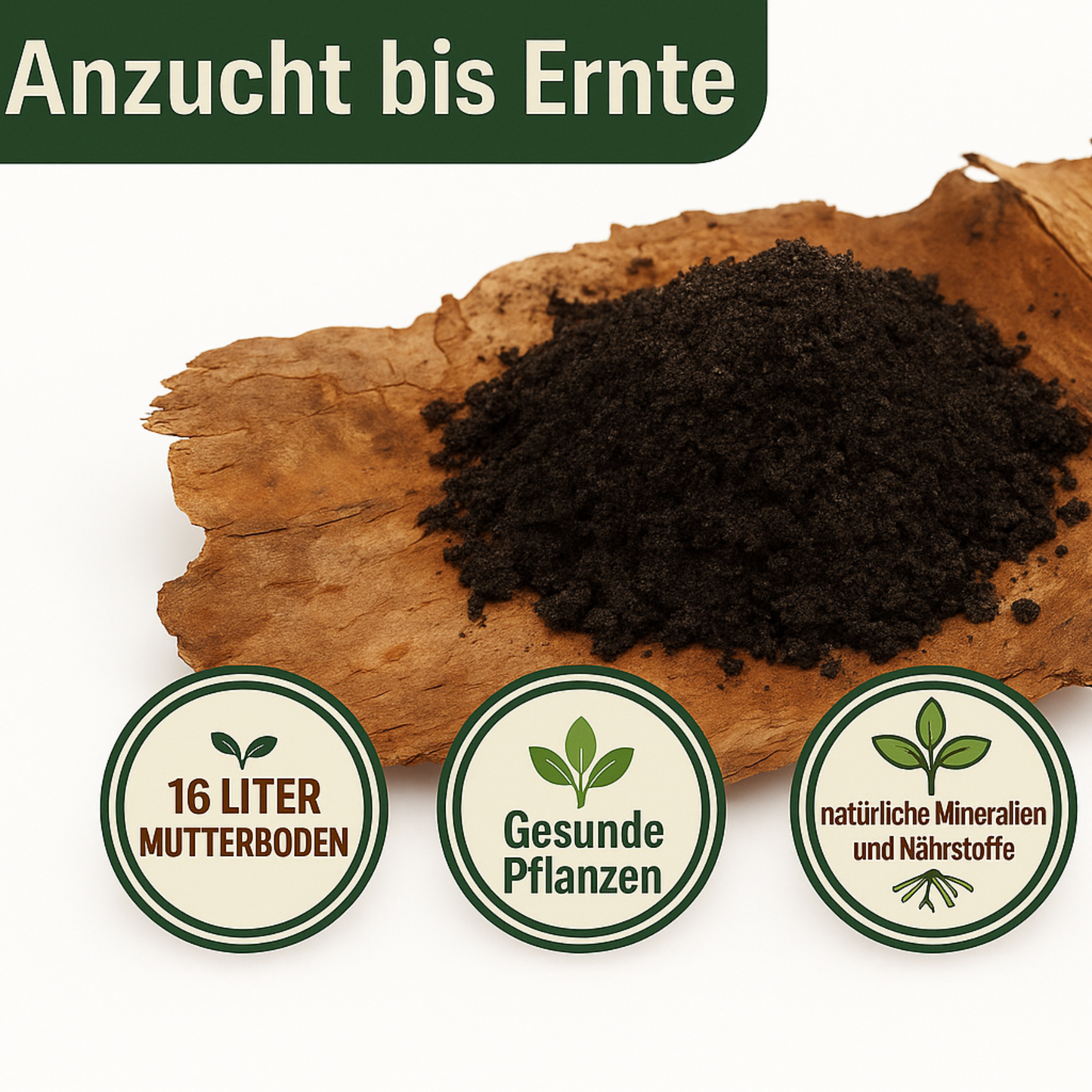 KomplettSET Schlangengurke – Von der Anzucht bis zur Ernte