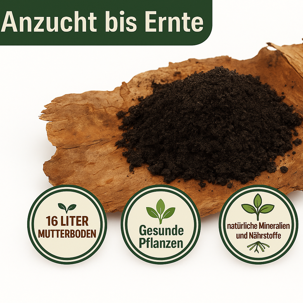 KomplettSET Tomate "Schlesische Himbeere" - Von der Anzucht bis zur Ernte