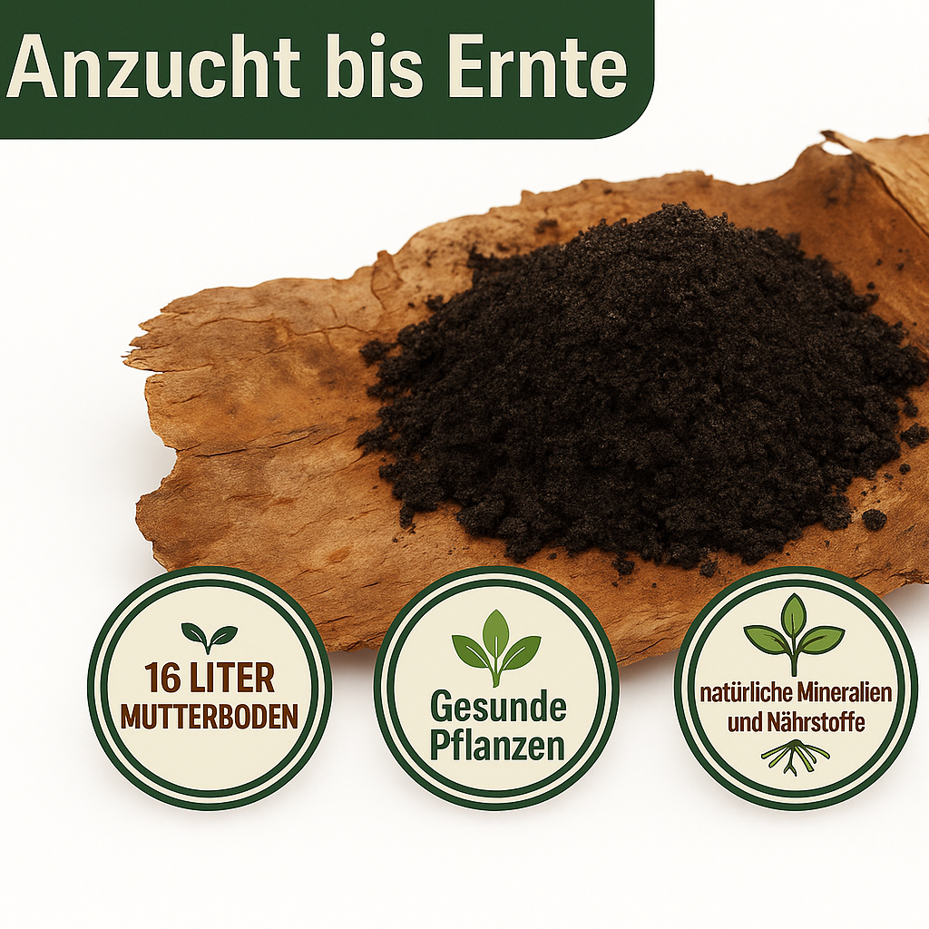 KomplettSET Tomate "schwarze Krim" - Von der Anzucht bis zur Ernte