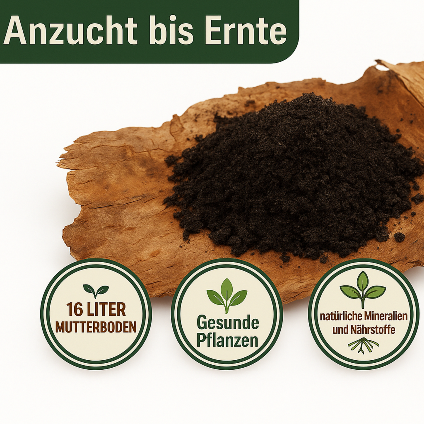 KomplettSET Tomate Red Cherry - Von der Anzucht bis zur Ernte