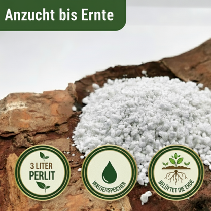 KomplettSET Schlangengurke – Von der Anzucht bis zur Ernte