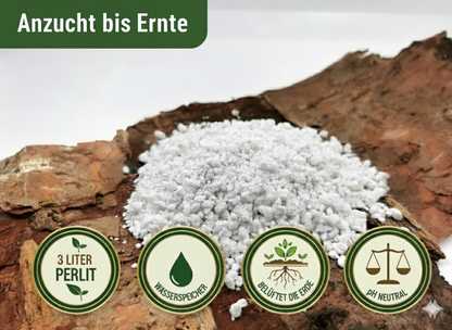 KomplettSET Paprika California Wonder - Von der Anzucht bis zur Ernte