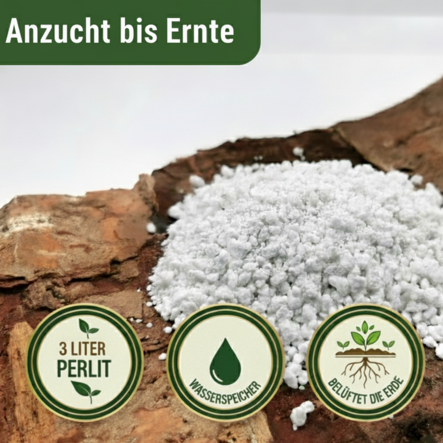 KomplettSET Tomate "schwarze Krim" - Von der Anzucht bis zur Ernte