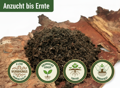 KomplettSET Paprika California Wonder - Von der Anzucht bis zur Ernte