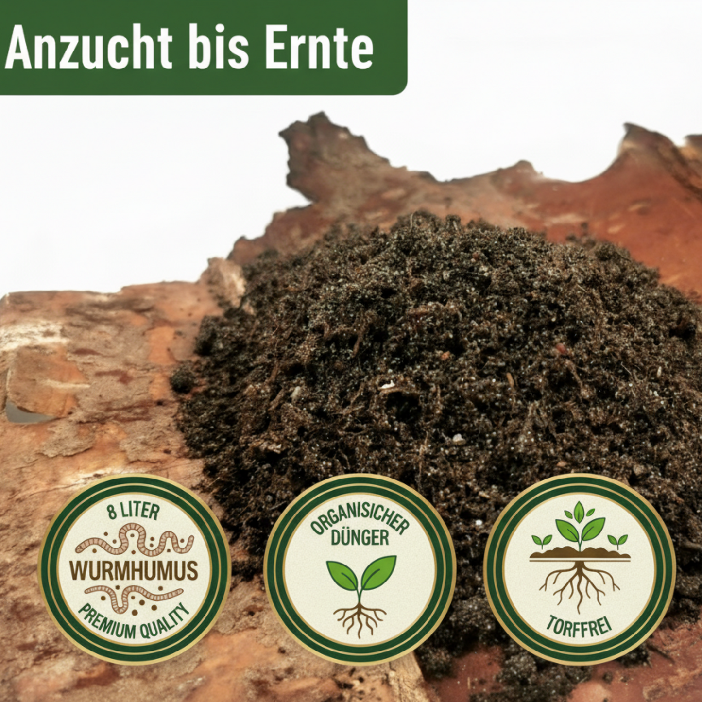 KomplettSET Tomate "schwarze Krim" - Von der Anzucht bis zur Ernte